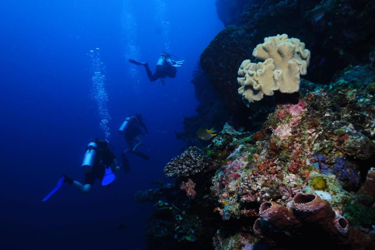 Sanctum Una Una Eco Dive Resort Pulau Unauna Eksteriør bilde