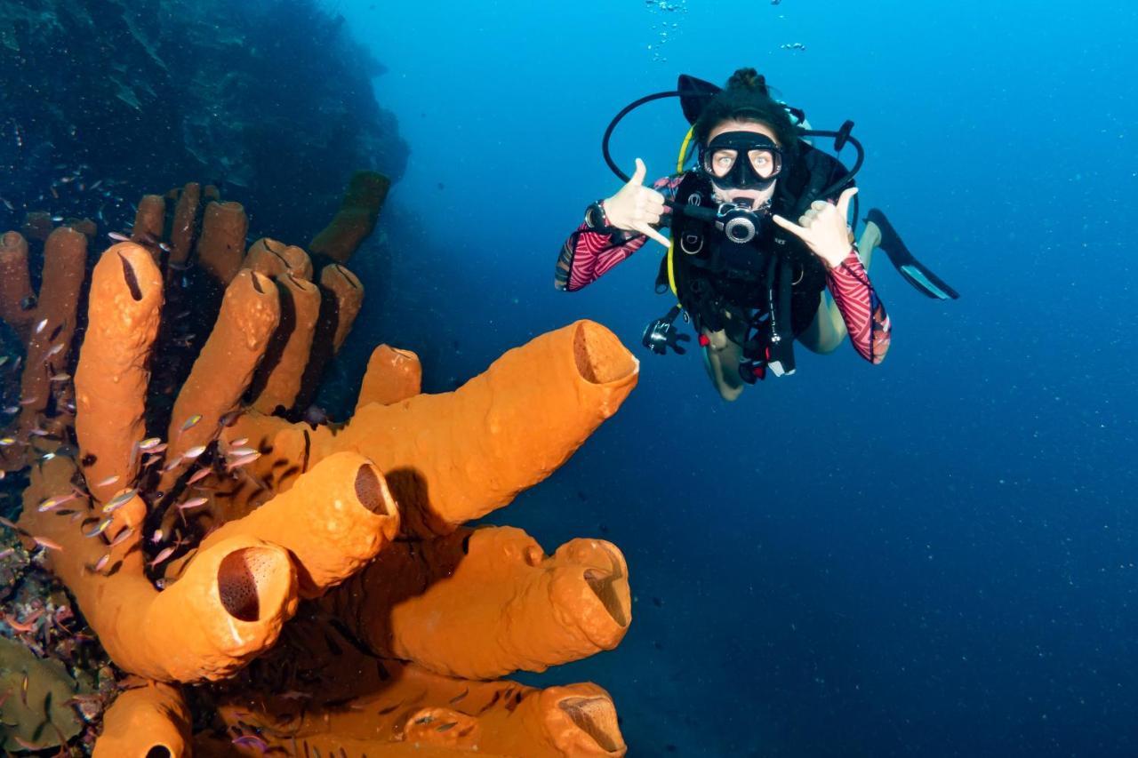 Sanctum Una Una Eco Dive Resort Pulau Unauna Eksteriør bilde