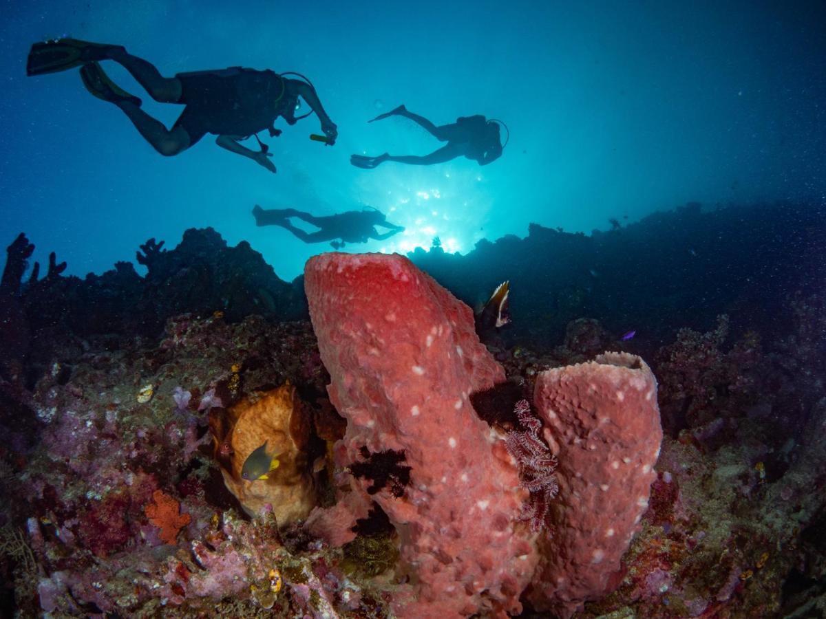 Sanctum Una Una Eco Dive Resort Pulau Unauna Eksteriør bilde