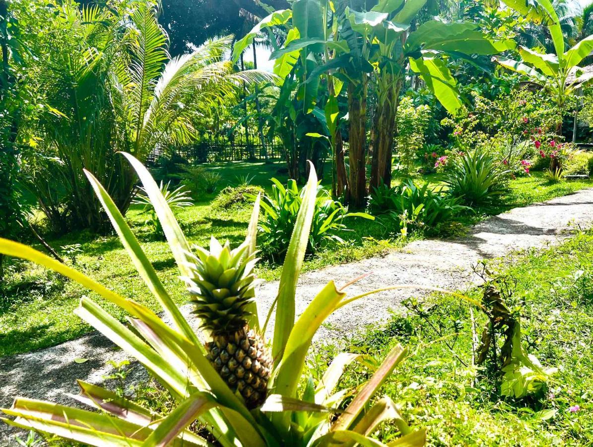 Sanctum Una Una Eco Dive Resort Pulau Unauna Eksteriør bilde