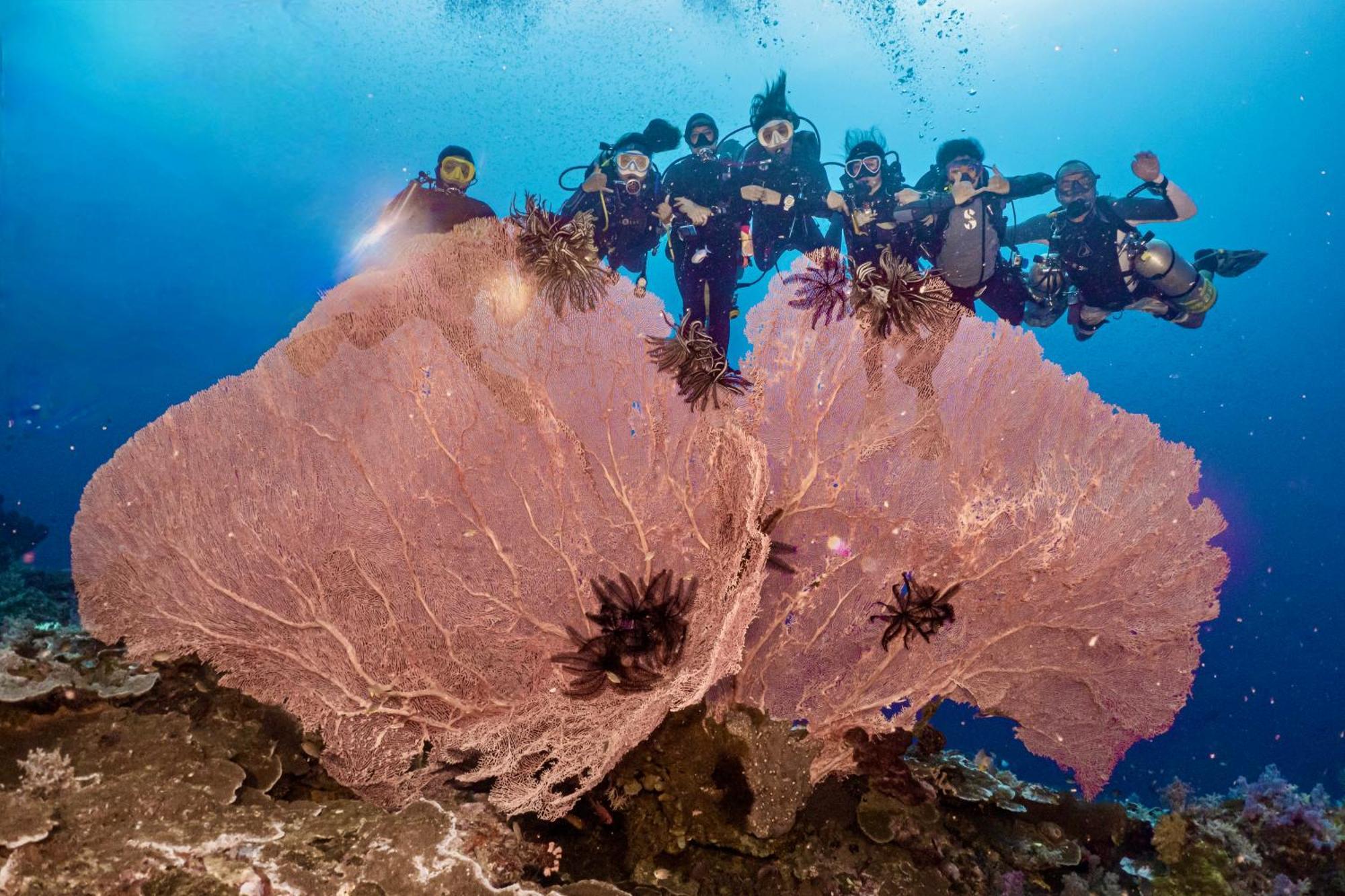 Sanctum Una Una Eco Dive Resort Pulau Unauna Eksteriør bilde
