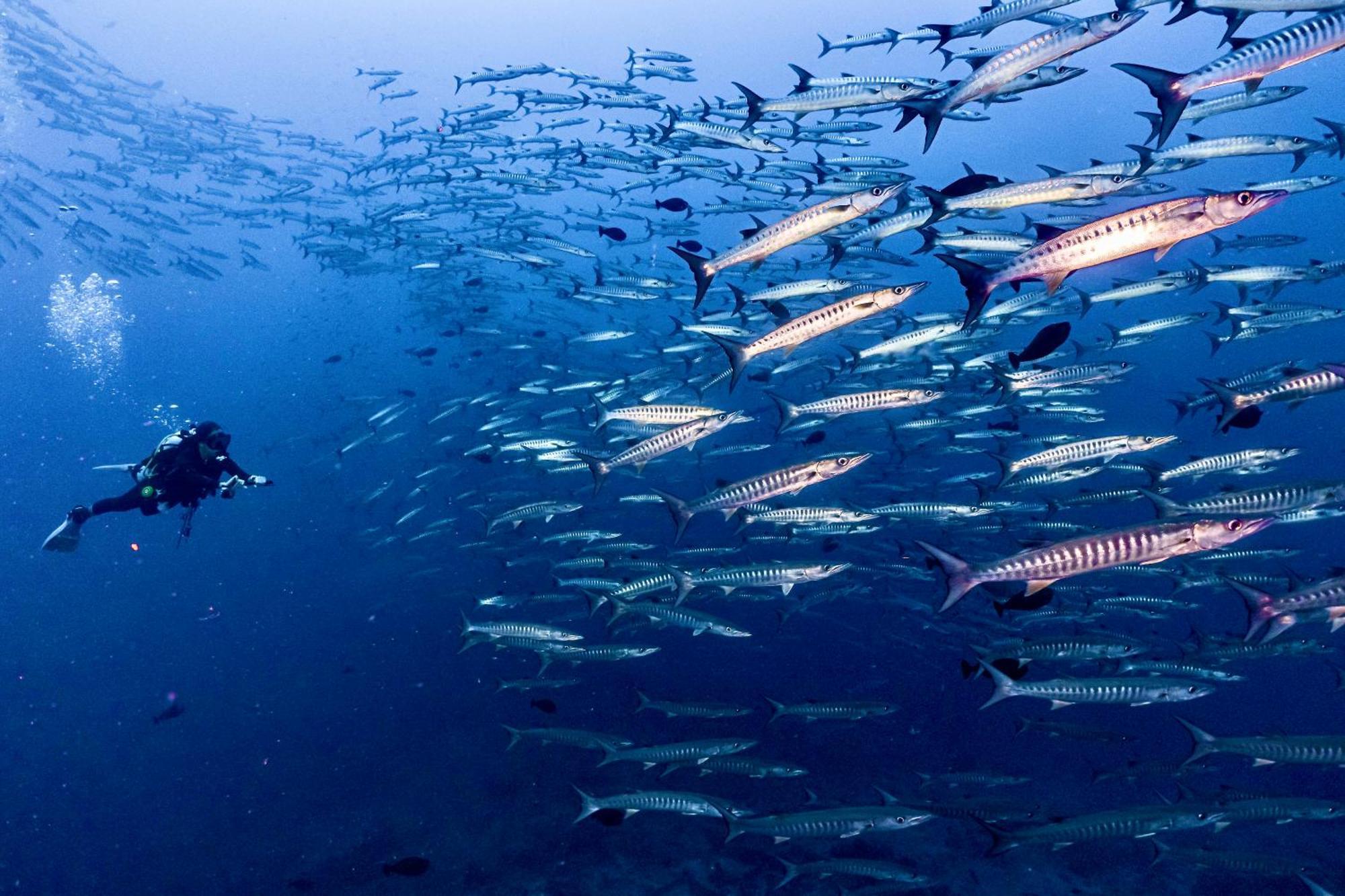 Sanctum Una Una Eco Dive Resort Pulau Unauna Eksteriør bilde